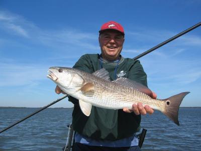 Ted from Oak Hill, FL